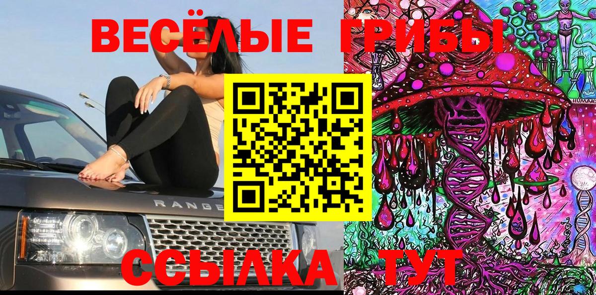 Псилоцибиновые грибы Psilocybe Нефтеюганск